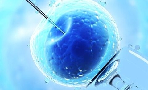 Des embryons prédisposés au cancer isolés par un diagnostic pré-implantatoire