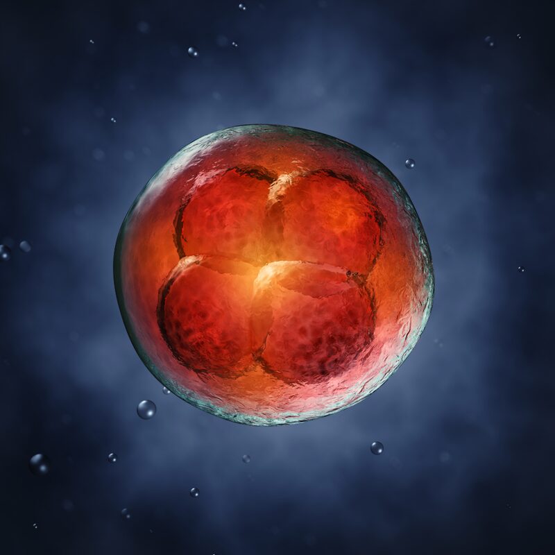 Commission fédérale pour la Recherche médicale et scientifique sur les embryons in vitro