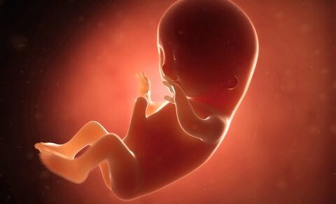 Des erreurs dans les tests de dépistage prénatal entraînent des avortements injustifiés