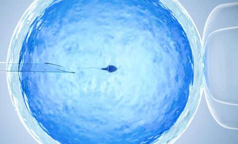 Protection des femmes employées et ayant recours à la fécondation in vitro