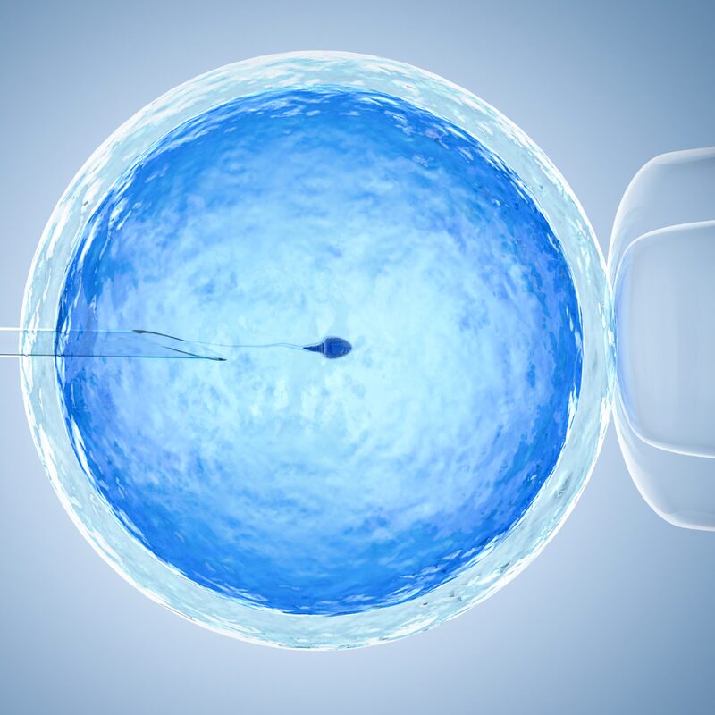 Protection des femmes employées et ayant recours à la fécondation in vitro