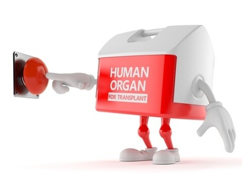 Don d'organes