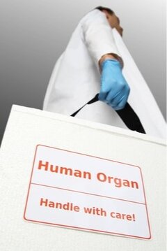 1000e transplantation du foie à l’UZ Gent