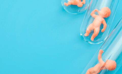Flandre : près de 6% des femmes ayant accouché ont eu recours aux techniques de procréation médicale
