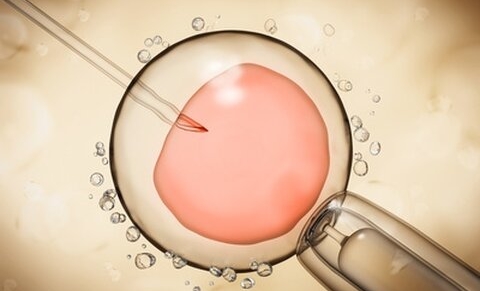 Oproep KU Leuven om spermadonor te worden