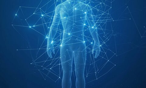 Création d'un muscle artificiel auto-régénérant