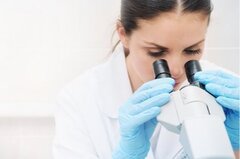 Un premier poumon artificiel humain créé en laboratoire