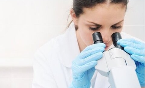 Belgique : 2 millions d’euros remis par la Fondation Roi Baudouin pour la recherche médicale