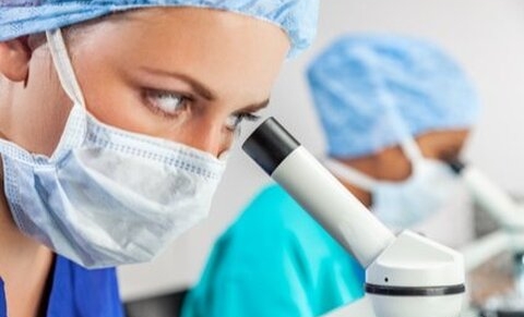 Belgique : réparation du cortex cérébral par cellules embryonnaires