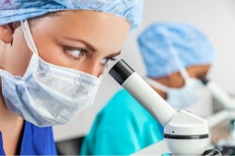 Belgique : réparation du cortex cérébral par cellules embryonnaires