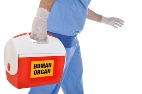 France : prélèvement automatique d'organes sur une personne décédée ?