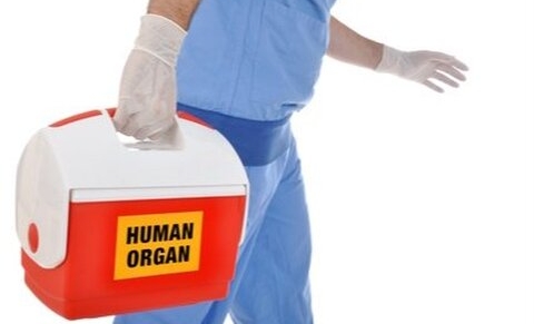 Royaume-Uni : un bébé devient donneur d’organes quelques heures après sa naissance