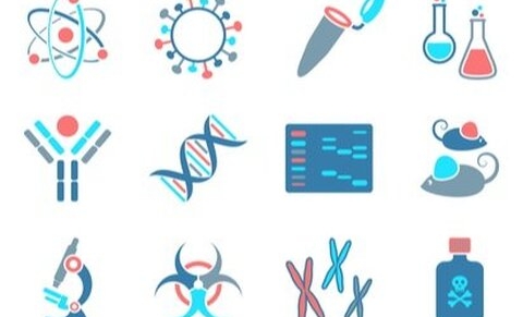 UNESCO : le Comité International de Bioéthique (CIB) plaide pour la protection du génome humain