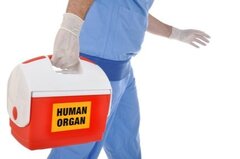 La Belgique renforce la pénalisation du trafic d’organes humains