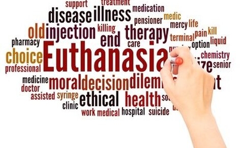 Pays-Bas : la banalisation de l’euthanasie empêche l’accompagnement global du patient