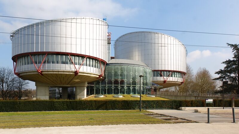 La pratique des mères porteuses devant la Cour européenne des droits de l'homme
