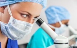 De internationale vereniging voor stamcelonderzoek (ISSCR) pleit voor afschaffing van de 14-dagenlimiet voor onderzoek op menselijke embryo's