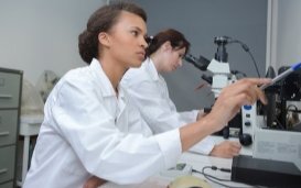 De ontwikkeling van menselijke embryo's in laboratorium na 14 dagen?