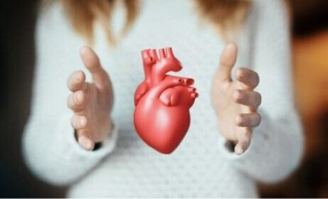Première greffe d’un coeur de porc chez l’humain : état des lieux et regard éthique
