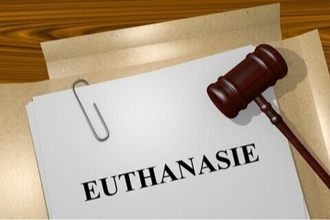 Portugal : La loi dépénalisant l’euthanasie à nouveau déclarée inconstitutionnelle