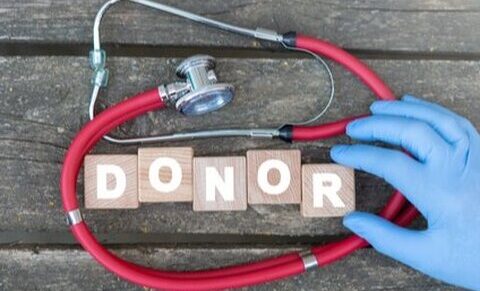 Préservation des organes en vue de la transplantation : focus sur une technique innovante qui questionne l’éthique