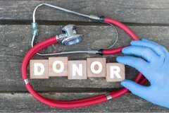 Préservation des organes en vue de la transplantation : focus sur une technique innovante qui questionne l’éthique