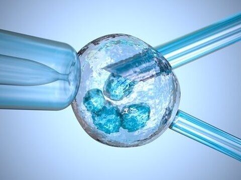 Assisted reproduction: a study reveals a psychological impact on children born from gamete donation