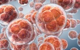 Cryopréservation des embryons : une étude met en lumière les enjeux éthiques liés à leur conservation et à leur destruction inévitable
