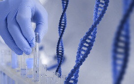 Fécondation in vitro automatisée : l’IA réinvente la procréation, non sans risque