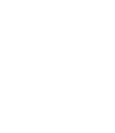 Logo IEB