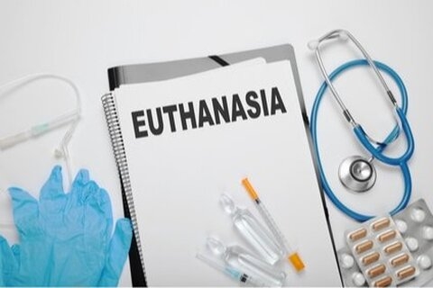 Euthanasia of newborns and the Groningen Protocol
