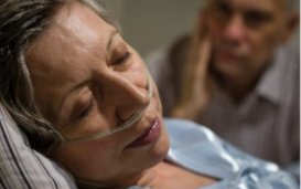 Are people in a persistent vegetative state "Vegetables" ?