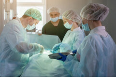 Don d'organes & euthanasie : éthiquement compatibles ?
